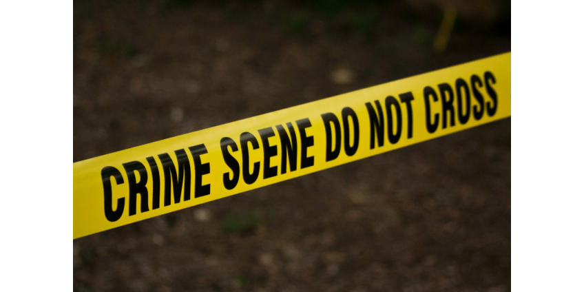 Четыре человека погибли в результате стрельбы на празднике в Калифорнии