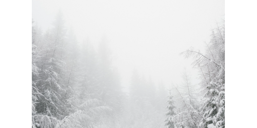 В Индиане из-за снегопада в аварию попали около 45 автомобилей