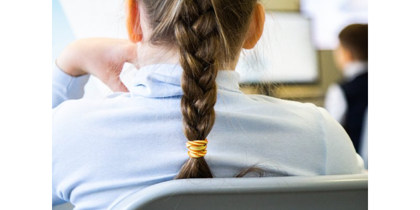 Стали известны детали новой системы для прохода на территорию российских школ