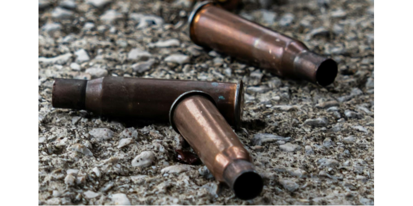 Профессора ядерной физики MIT Нуно Лурейру застрелили в собственном доме в США