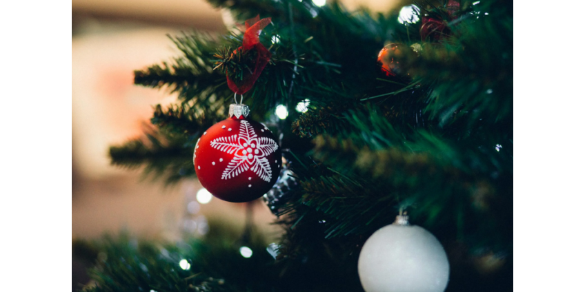 В Сан-Диего с 29 декабря начнётся приём рождественских ёлок на переработку