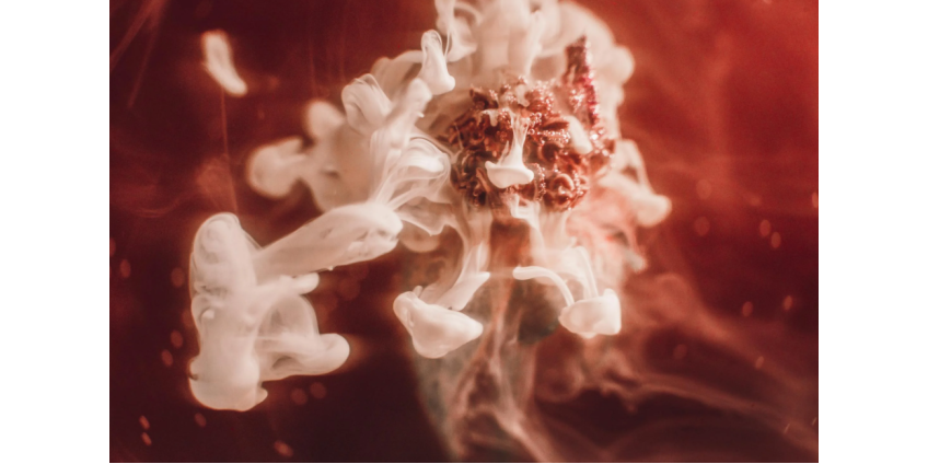 Названа причина взрывов в Нидерландах