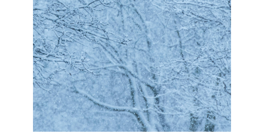 Зимний шторм оставил без электроэнергии более 600 тысяч домов в США