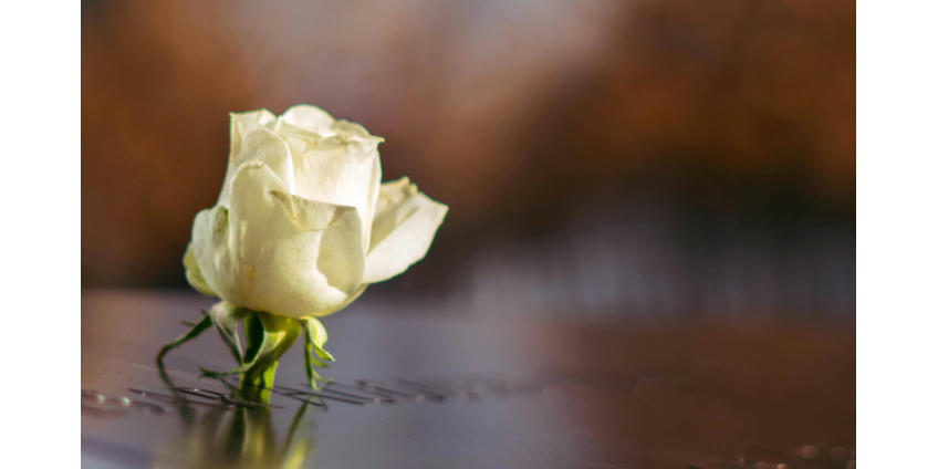 В Лас-Вегасе готовятся выделить $5 млн на мемориал жертвам трагедии One October