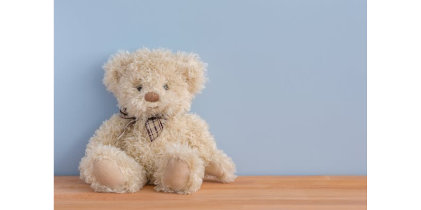 Более 500 плюшевых мишек передали больницам Сан-Диего в рамках акции Heal A Heart Day