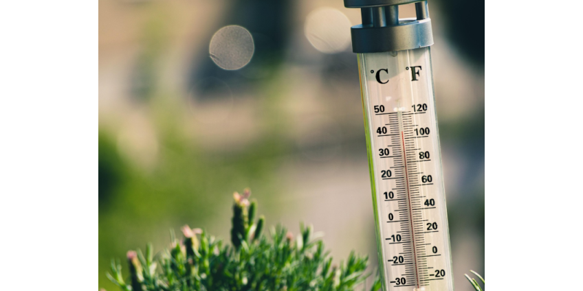 В Аризоне зафиксировали аномальную мартовскую жару с температурой до 100 градусов