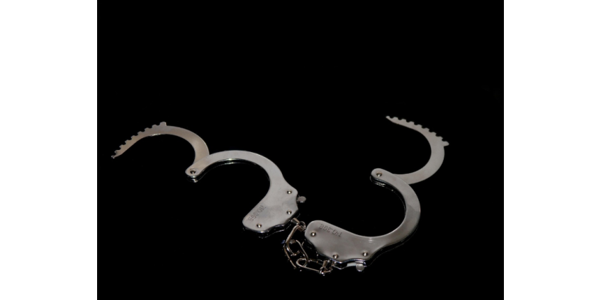 В Лос-Анджелесе после акции «No Kings» задержали 74 человека