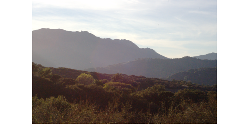 В Topanga Canyon проведут тренировку по эвакуации с проверкой систем оповещения