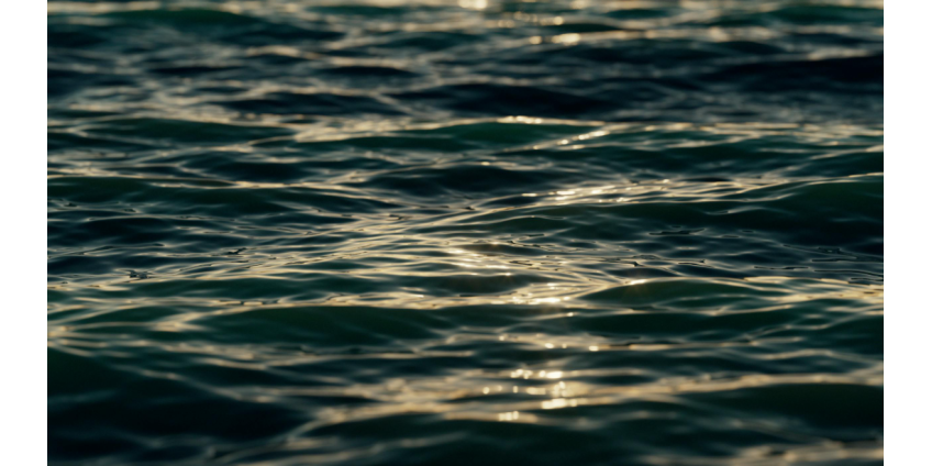 В США нашли останки семьи из пяти человек, пропавших в 1958 году