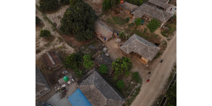 Россияне стали бросать работу в офисе ради разведения баранов и кур в деревне