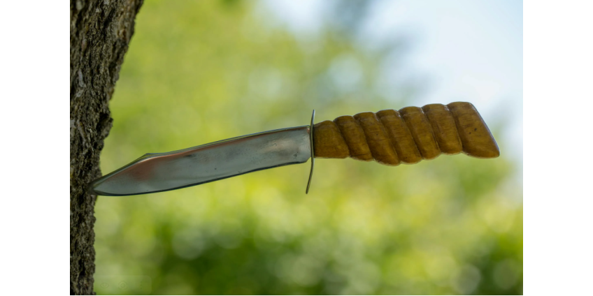 Полиция Финикса ранила женщину при задержании после угрозы ножом