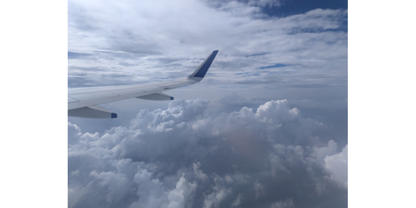 Самолет Allegiant Air вернулся в аэропорт Аризоны после столкновения с птицей