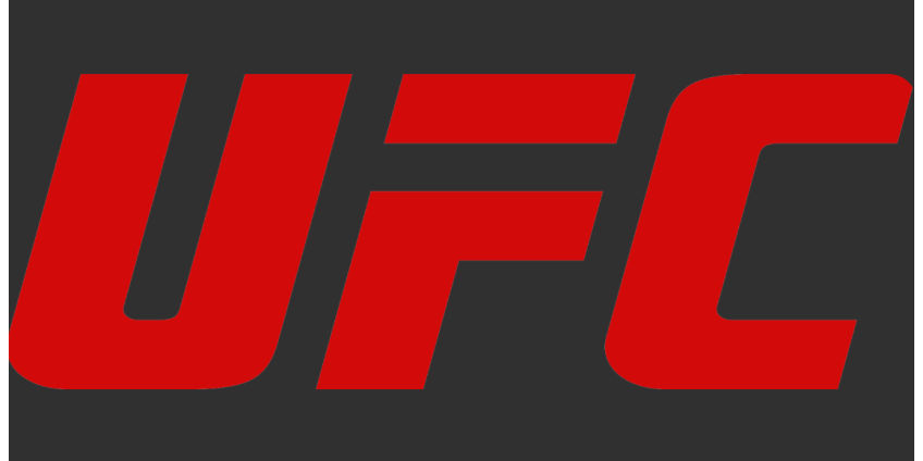 Бывшего бойца UFC обвинили в террористических угрозах