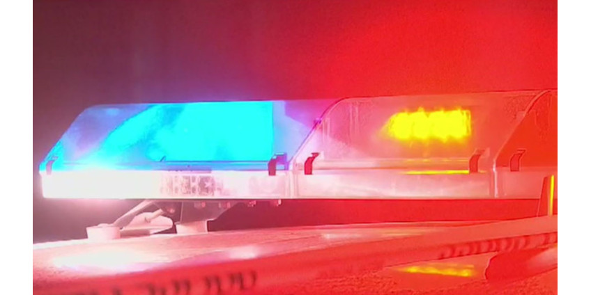 Трое студентов из Аризоны были задержаны за хранение запрещенных препаратов